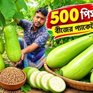 ৫০০ পিস বীজের প্যাকেট