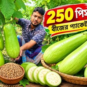 ২৫০ পিস বীজের প্যাকেট